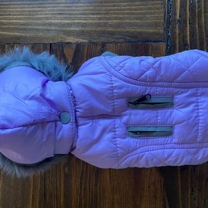 XX small winter dog coat